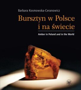 Okładka: Bursztyn w Polsce i na świecie. Amber in Poland and in the World