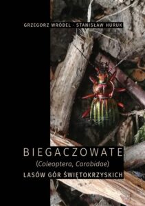 Okładka: Biegaczowate (Coleoptera, Carabidae) lasów Gór Świętokrzyskich