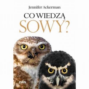 Okładka: Co wiedzą sowy?