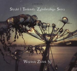 Okładka: Strąki – tęsknota zgłodniałego serca
