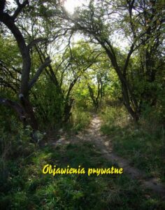 Okładka: Objawienia prywatne
