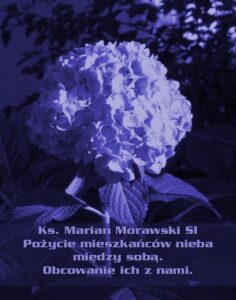 Okładka: Pożycie mieszkańców nieba między sobą. Obcowanie ich z nami.