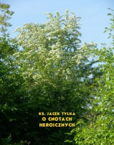 Okładka: O cnotach heroicznych