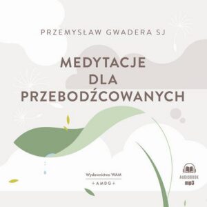 Okładka: Medytacje dla przebodźcowanych