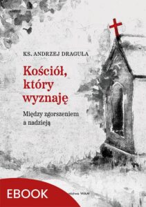 Okładka: Kościół, który wyznaję. Między zgorszeniem a nadzieją