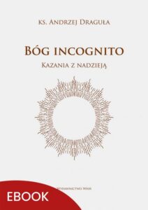 Okładka: Bóg incognito. Kazania z nadzieją