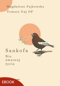 Okładka: Sankofa Nie zmarnuj życia. Nie zmarnuj życia