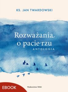 Okładka: Rozważania o pacierzu. Antologia